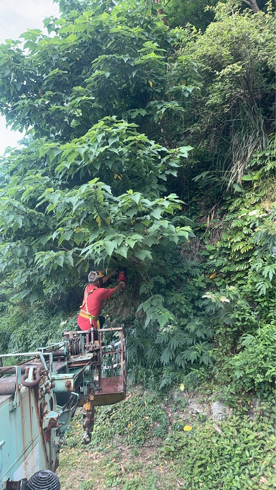 北投吊車