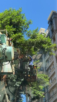 台北市士林區吊車