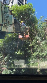 台北市士林區吊車