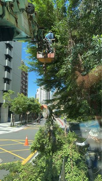 台北市士林區吊車