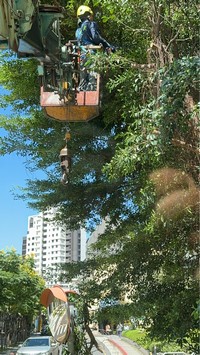 台北市士林區吊車