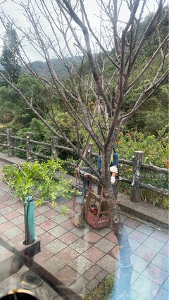 台北市士林區吊車