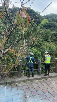 台北市士林區吊車