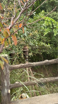 台北市士林區吊車