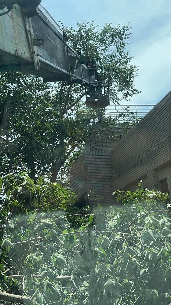 台北市士林區吊車
