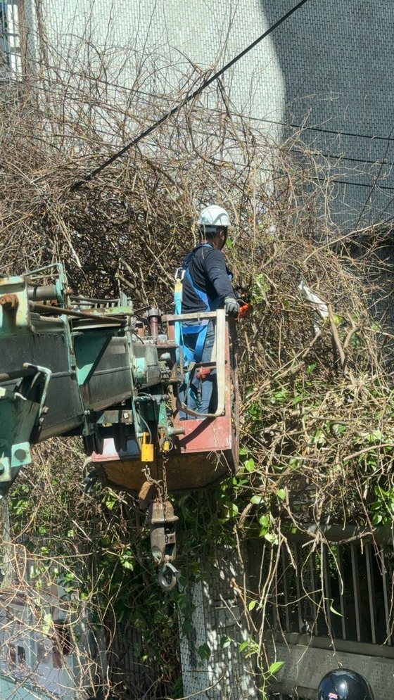 內湖吊車