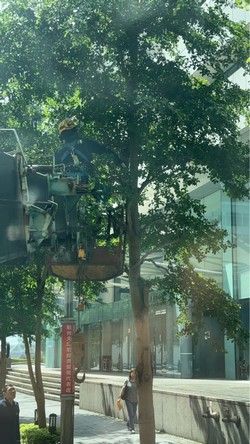 內湖吊車