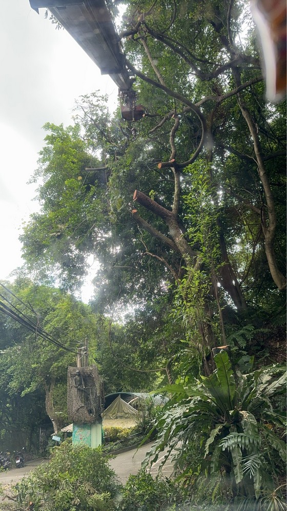 內湖吊車