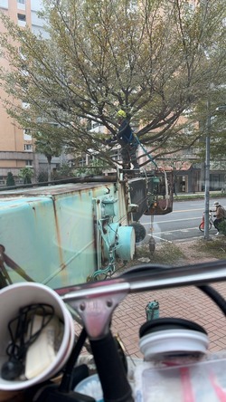 松山吊車