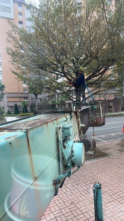 松山吊車