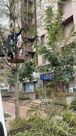 松山吊車