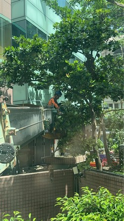 松山吊車