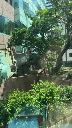 松山吊車