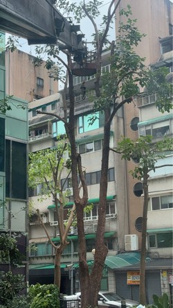 松山吊車