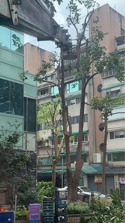 松山吊車