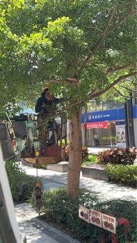 台北市中山區吊車