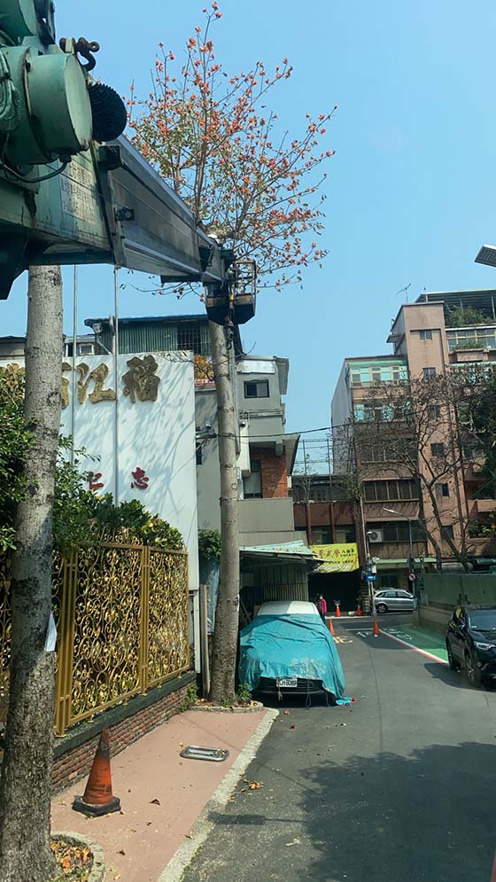 台北市大同區吊車-樹木修剪
