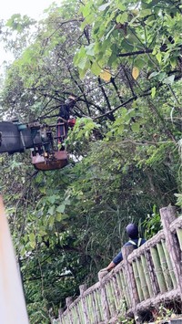 台北市南港區吊車