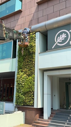 信義區吊車
