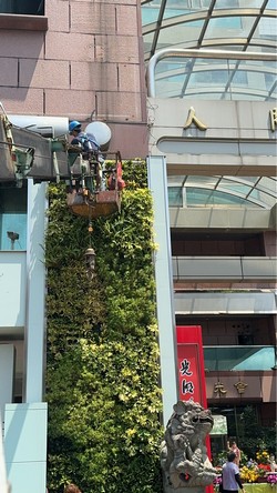信義區吊車