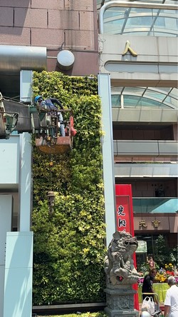 信義區吊車