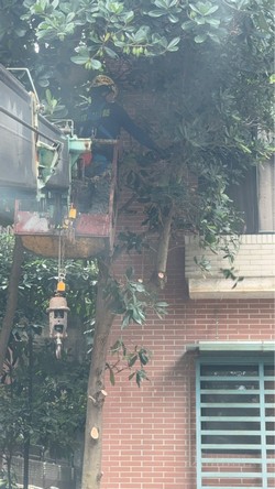 信義區吊車