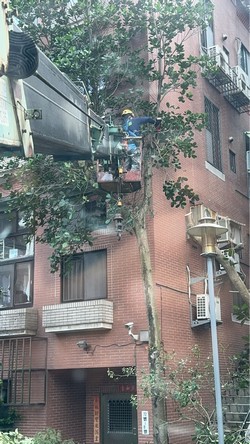 信義區吊車
