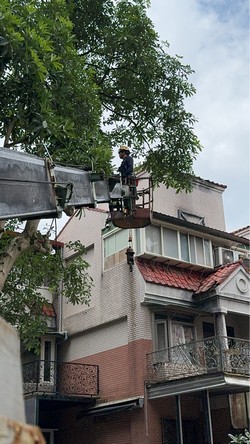 信義區吊車
