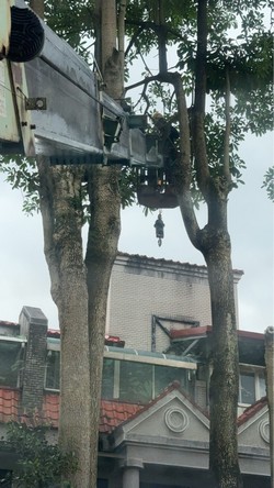 信義區吊車
