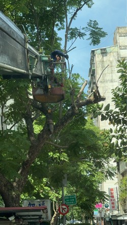信義區吊車