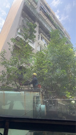 信義區吊車
