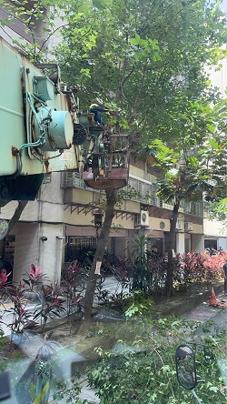 信義區吊車