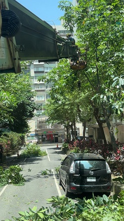 信義區吊車
