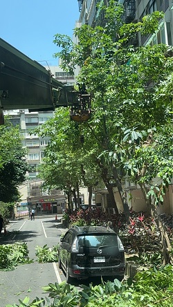 信義區吊車