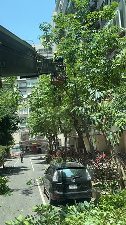 信義區吊車