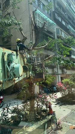 信義區吊車