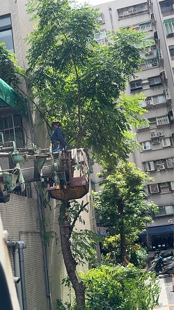 信義區吊車