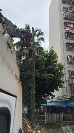 信義區吊車