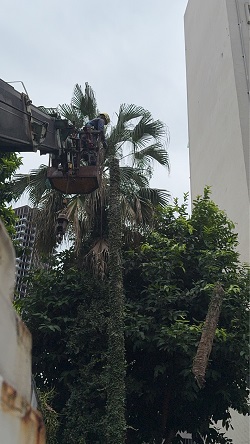 信義區吊車