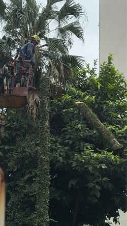 信義區吊車