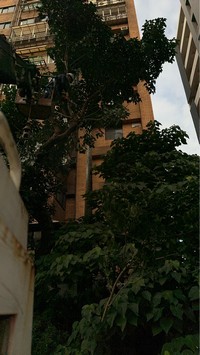 台北市大安區吊車