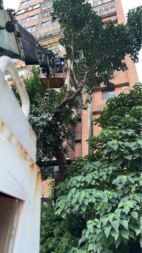 台北市大安區吊車