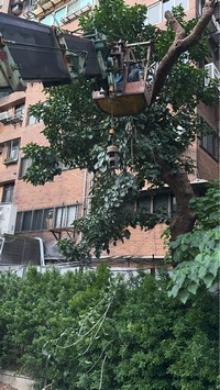 台北市大安區吊車