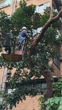 台北市大安區吊車