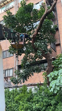 台北市大安區吊車