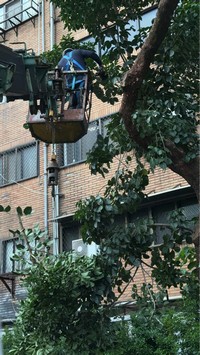 台北市大安區吊車