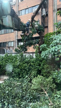 台北市大安區吊車