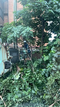 台北市大安區吊車