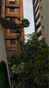 台北市大安區吊車