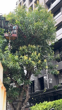 台北市中正區吊車